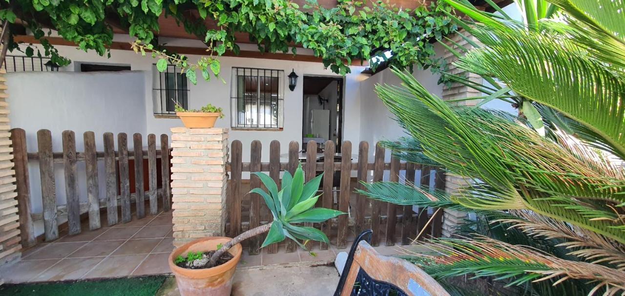 Estudios Con Piscina Compartida En Conil. Cádiz Eksteriør bilde